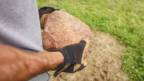 A hunter in camouflage looks over a food plot on his deer farm.