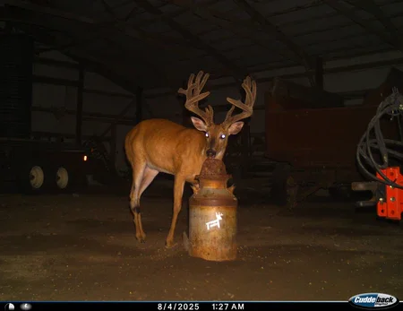 Grand prize winner 2025