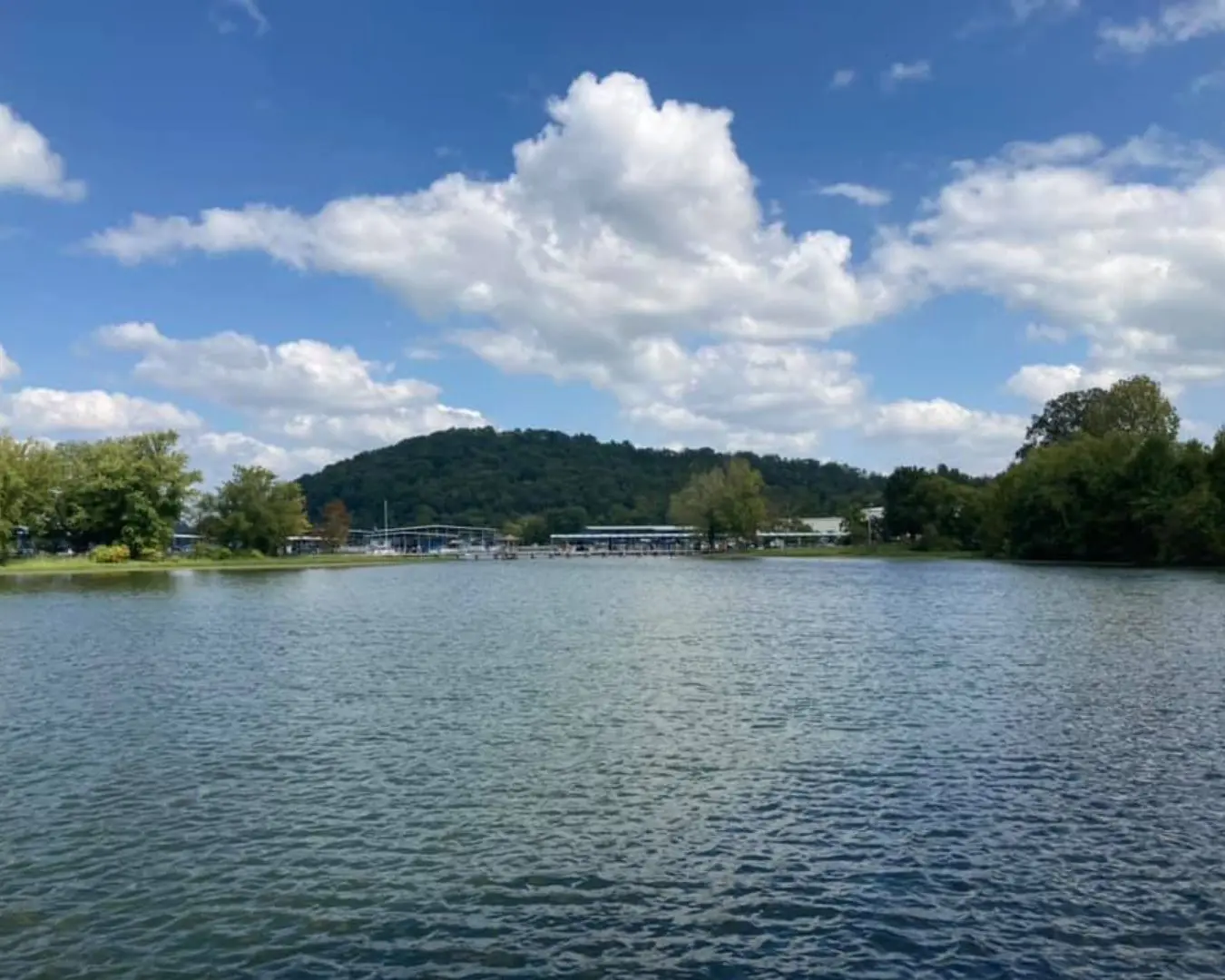 Island Cove Marina