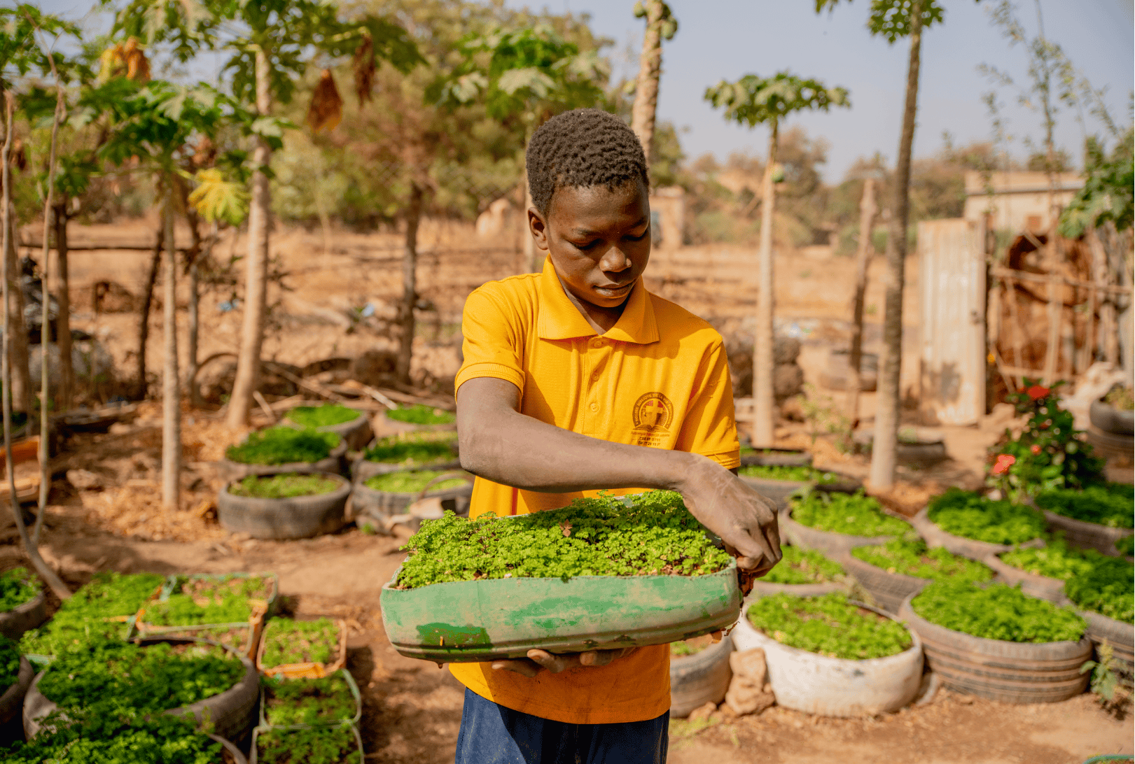 6052_GFC Appeals & Always On_Blog N_Image 3_01