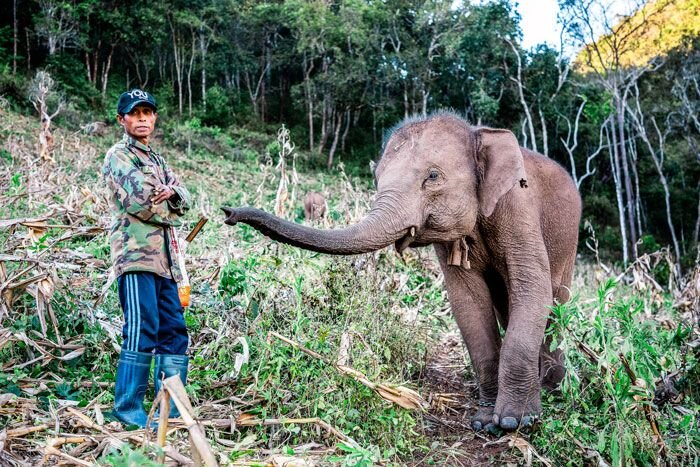 5 Extreme Jobs the Poor Do to Support their Families 