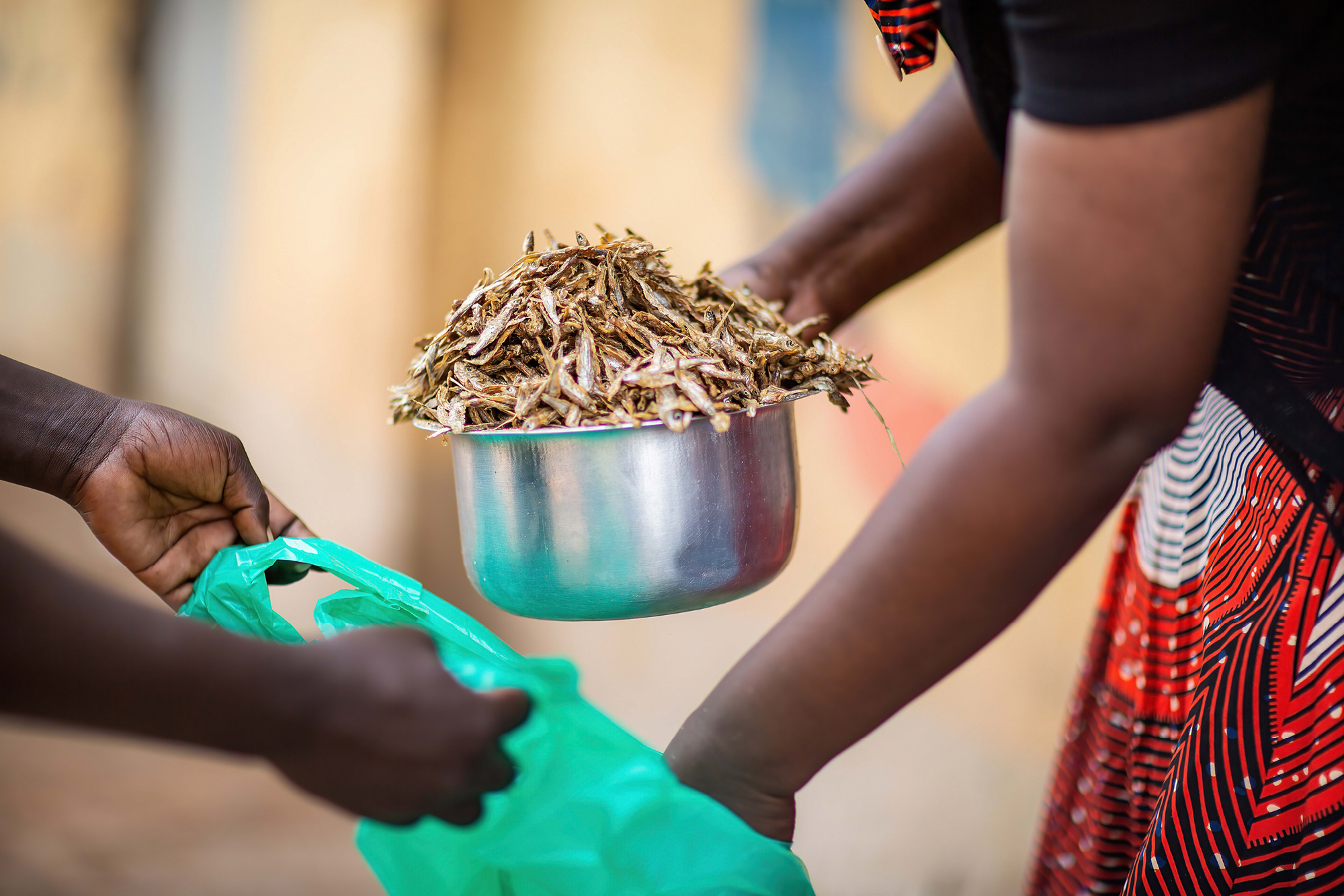 6062_GFC Content_Blog L_Image 3_01