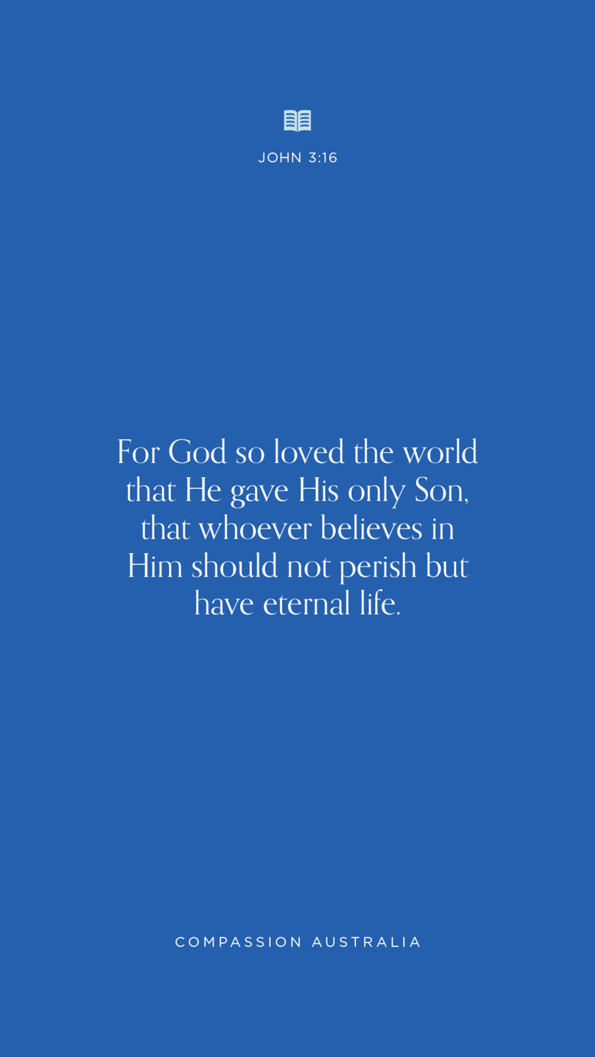 5923 Autumn Campaign Blogs Wallpaper 3