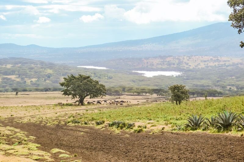 web CDSP-TZ240-The Impact of Polygamy-11-1407