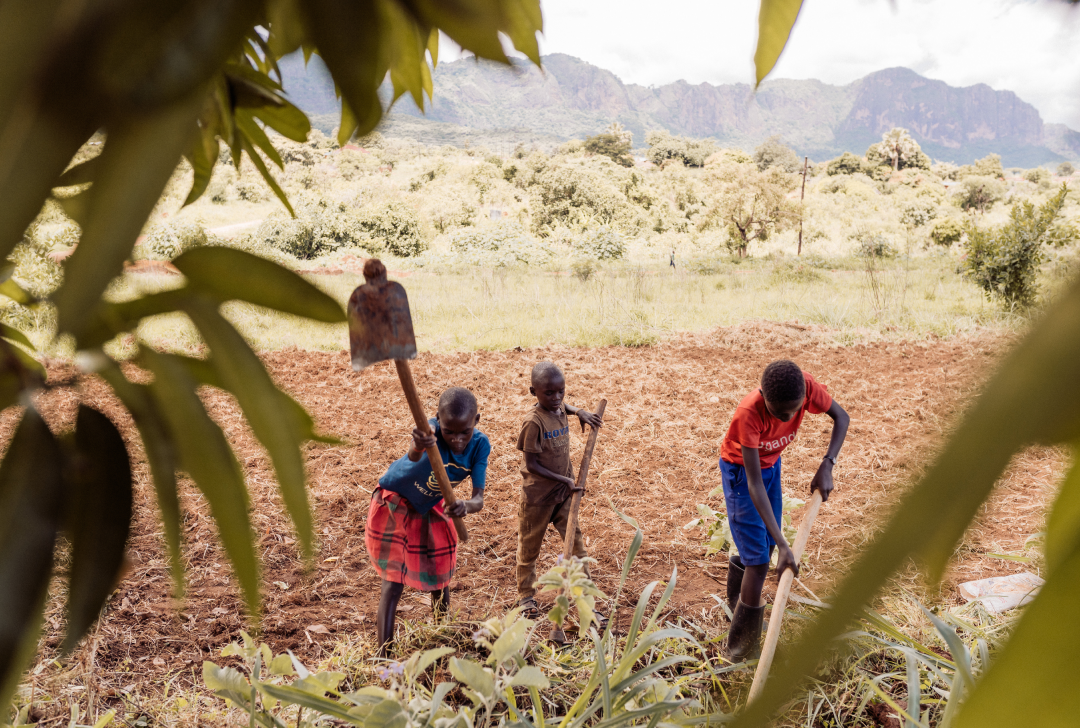 Blog Image 4 (SIBLINGS IN THE GARDEN)