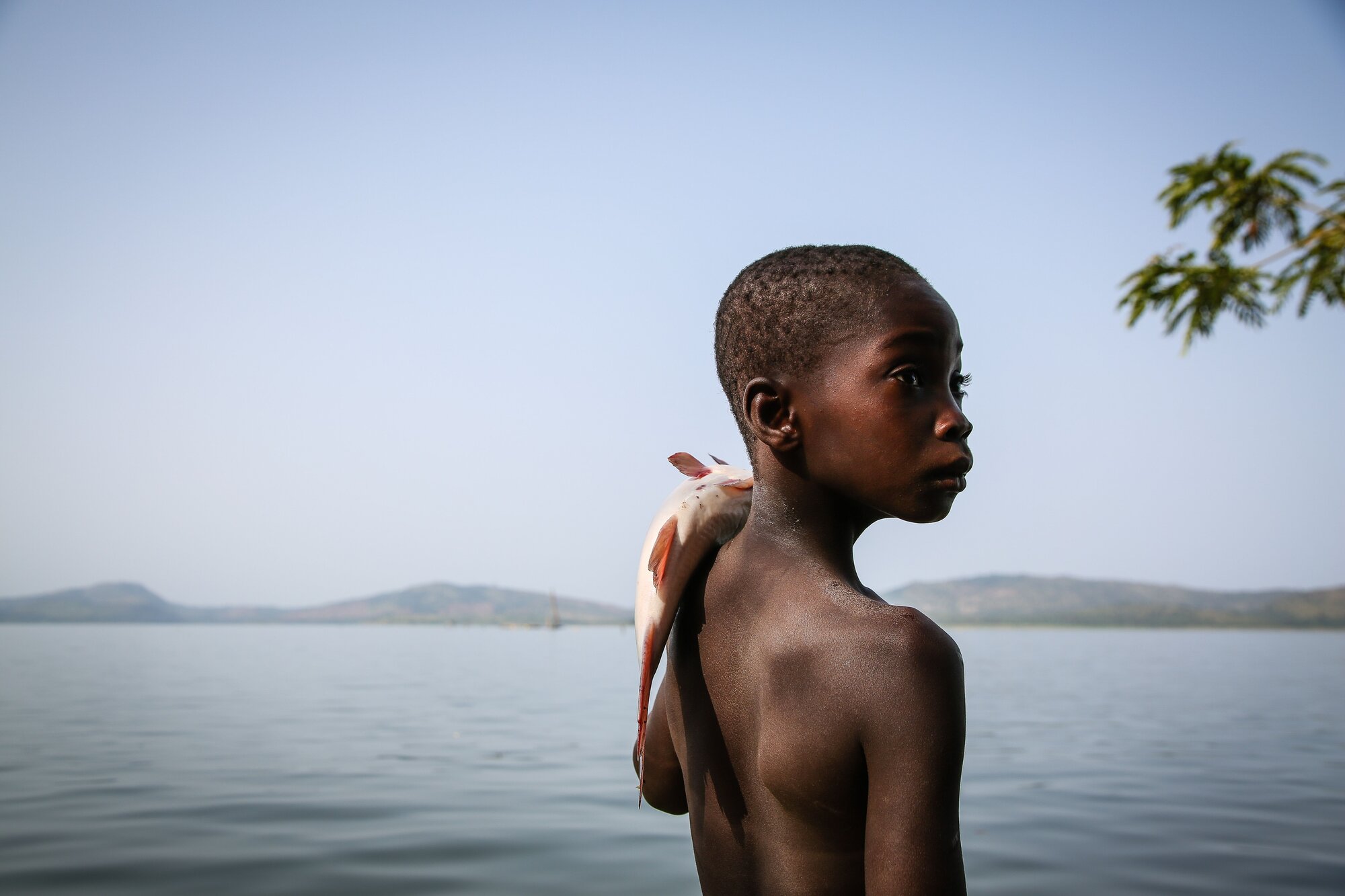 Who are the Trafficked Fisherboys of Lake Volta?