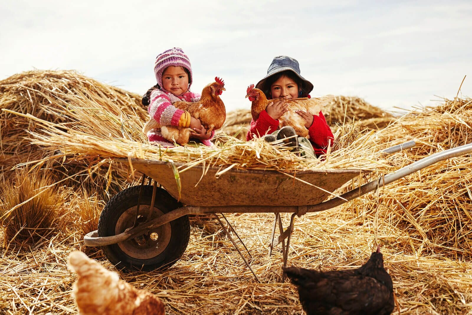 16 Questions Most New Sponsors Ask, Answered