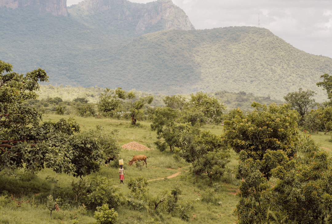 Blog Image 1 (KARAMOJA)
