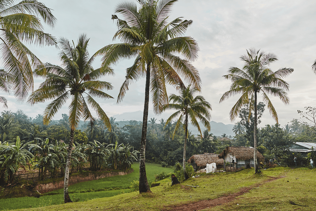 Short Story Blog Post_Image 4_01