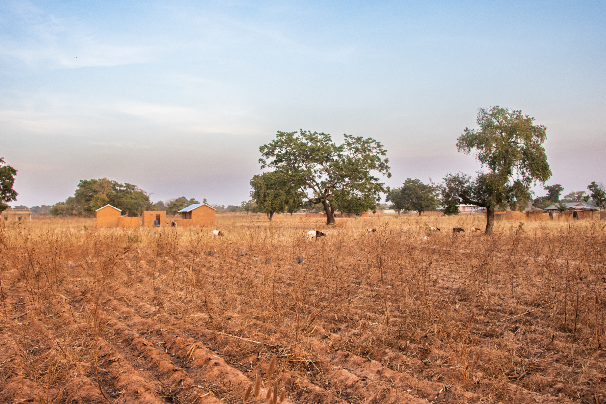 6062_GFC Content_Blog L_Image 2_01