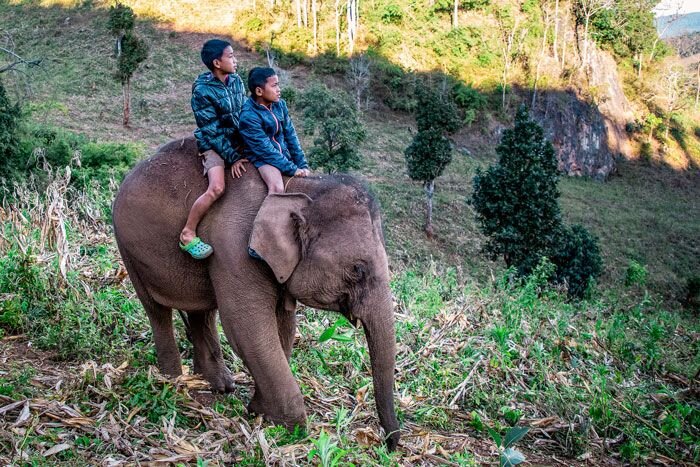 5 Extreme Jobs the Poor Do to Support their Families 