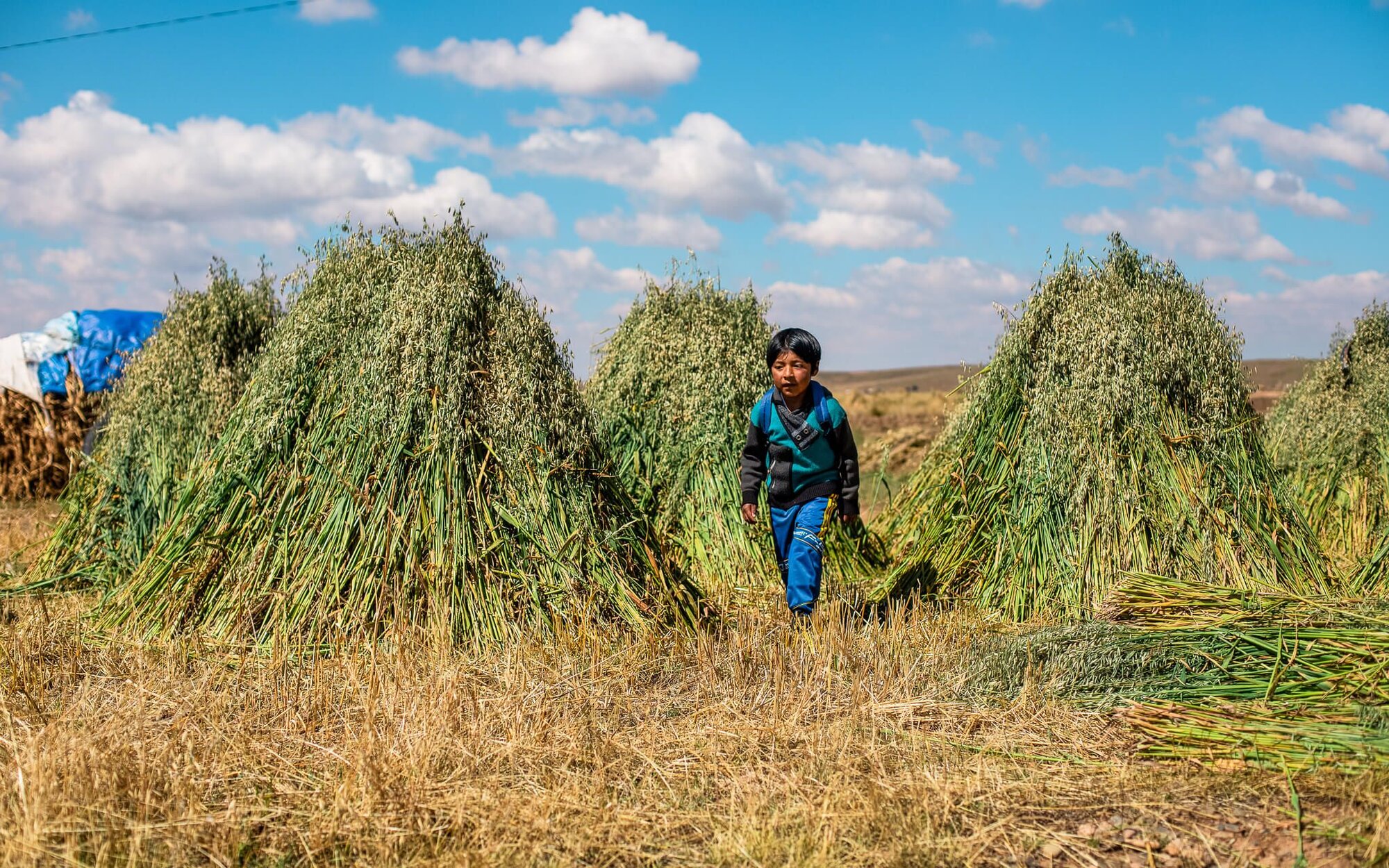 17 Astonishing Journeys to School by Children in Poverty