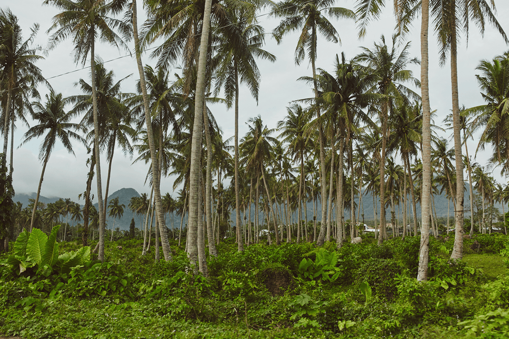 Short Story Blog Post_Image 2_01