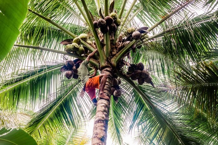 5 Extreme Jobs the Poor Do to Support their Families 