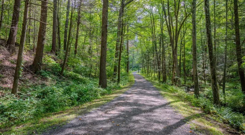 Rockefeller State Park Preserve
