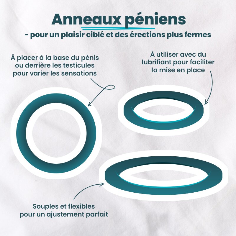 Anneaux péniens