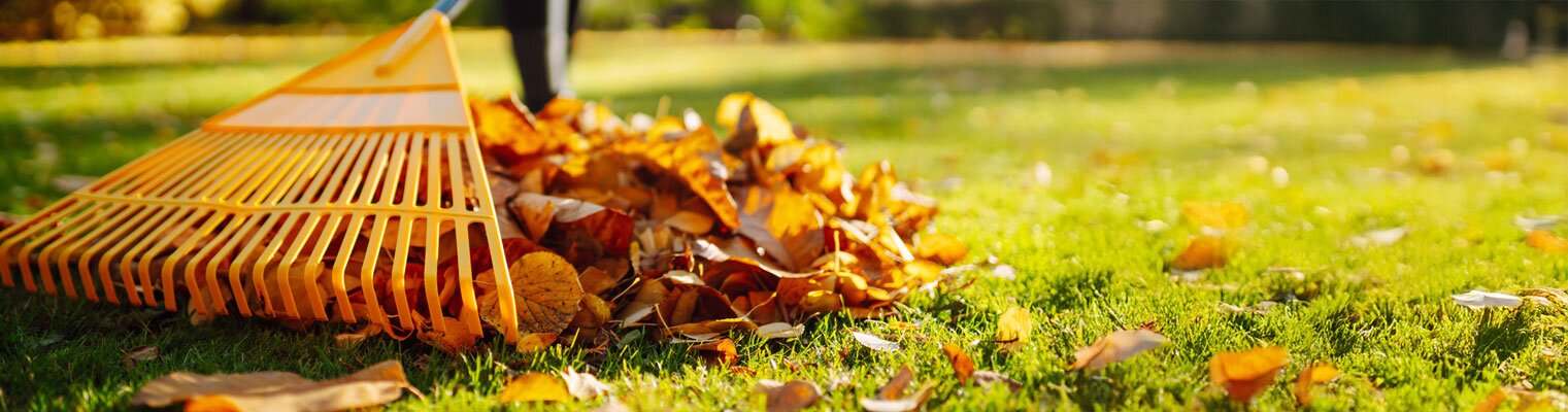 Maak je tuin klaar voor de herfst