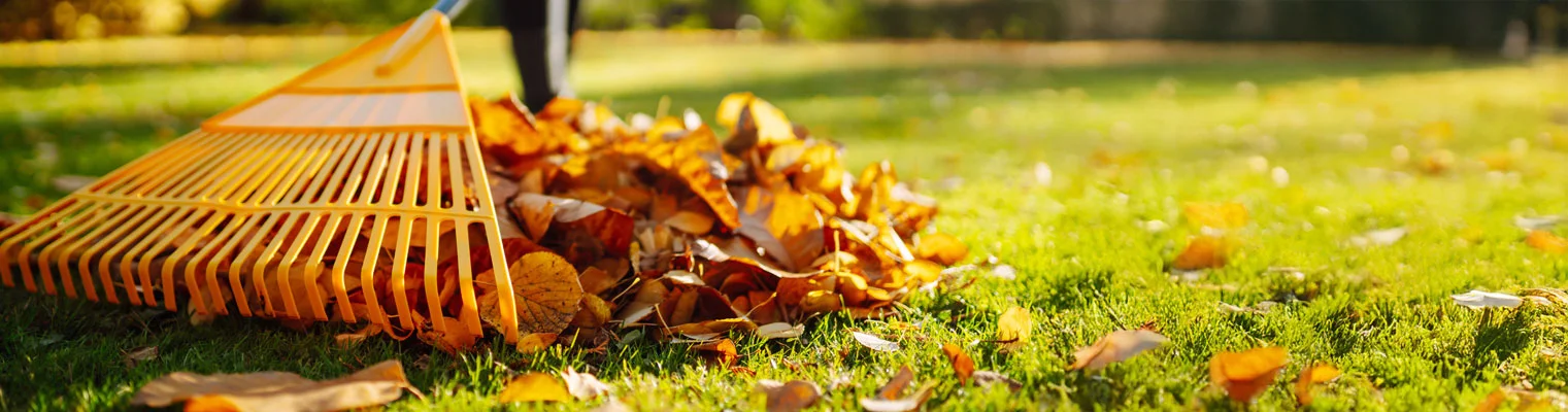 Maak je tuin klaar voor de herfst