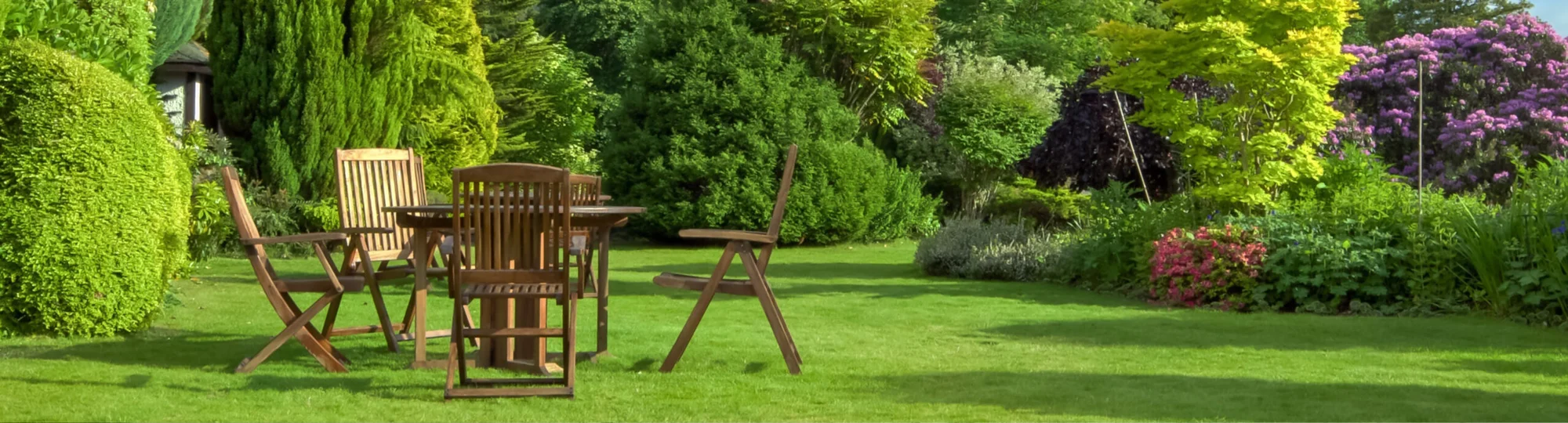 Garden watering scene