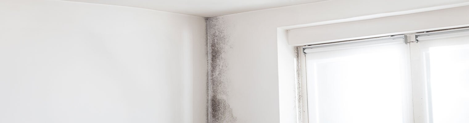 Last van vocht in huis? Bekijk onze handige tips voor vochtbestrijding 