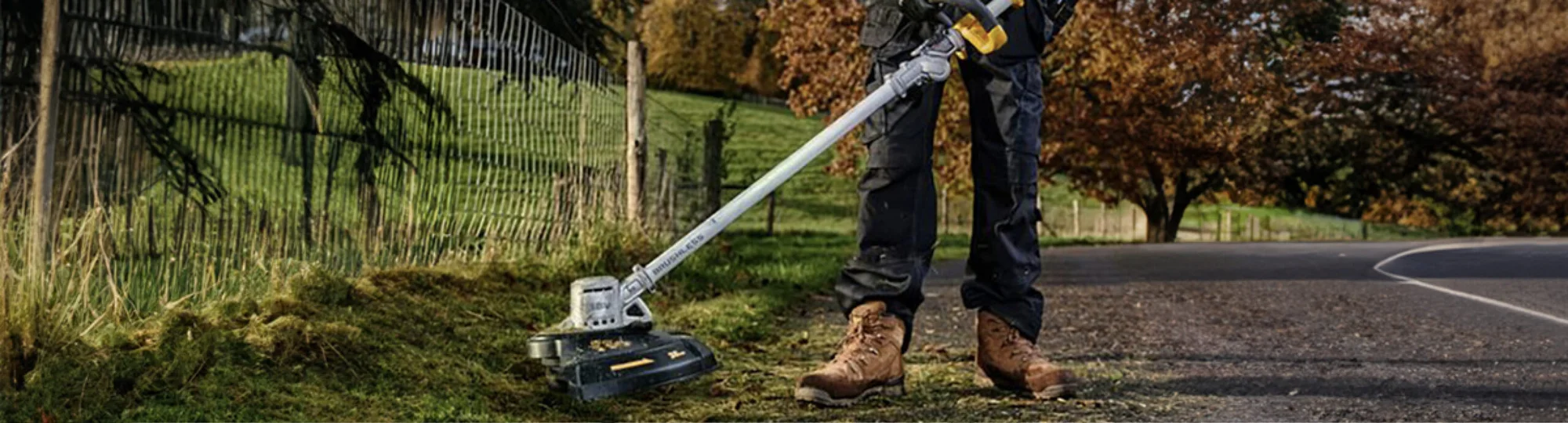 Garden watering scene
