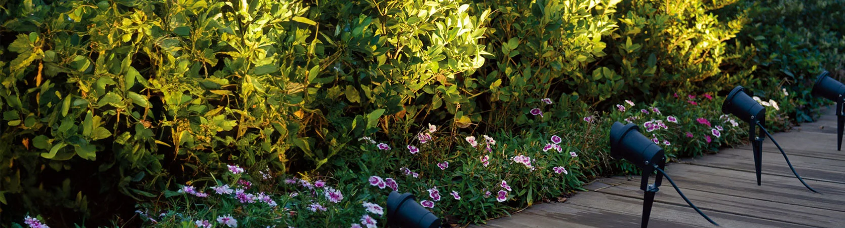 Garden watering scene