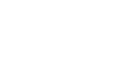 BCG logo