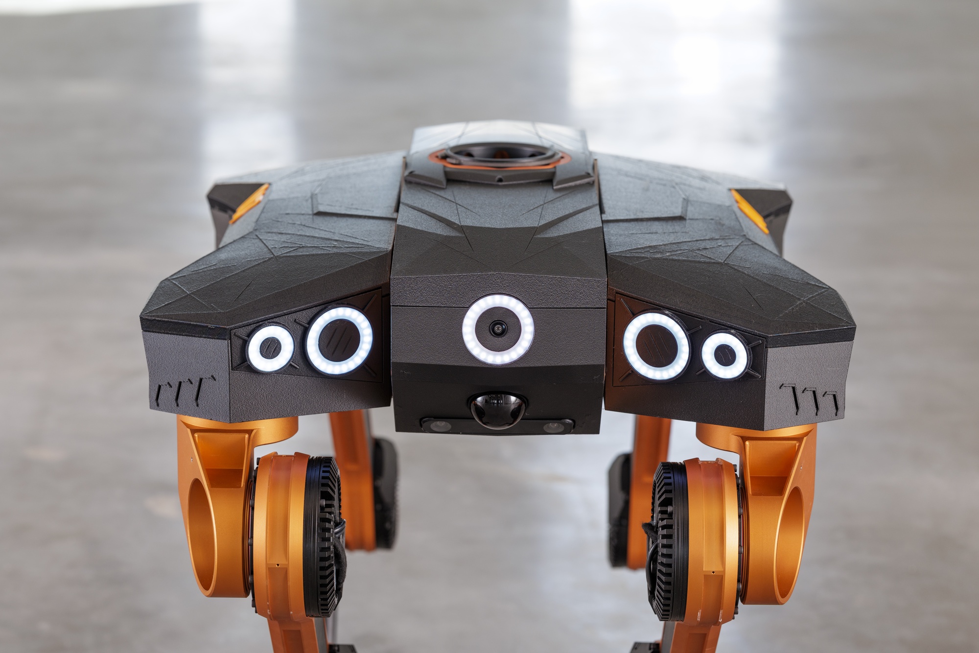 Front view of All3 Mantis showing its sensors and front legs