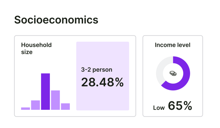 Socioeconomics Household Size Income Level