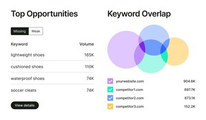top-opportunities-keyword-overlap 