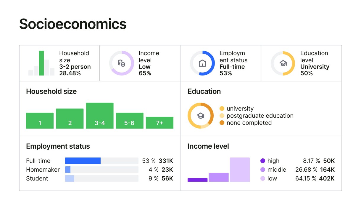 socioeconomics big UI