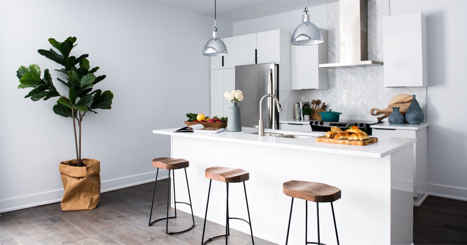 A Modern Kitchen With Modern Furniture and Large Green Plant