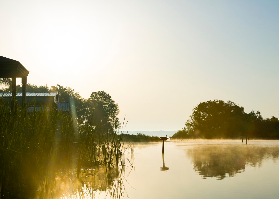 “Low-angle photograph of sunlight reflecting off of water, with a boathouse visible” - Source: Canva