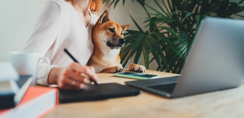 Person Writing on Digital Notepad with One Hand and Holding a Dog with the Other Hand While Browsing Laptop