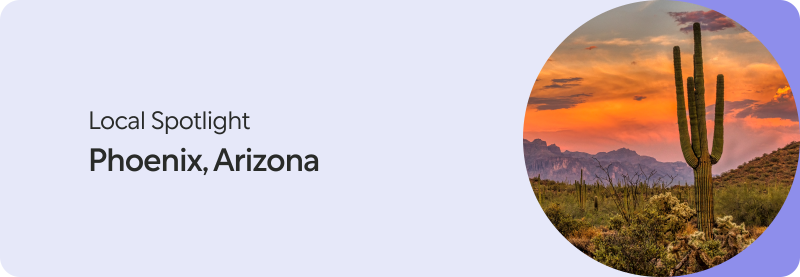 Light Purple with Text: Local Spotlight Phoenix, Arizona and a Circular Photo of Cacti Sunset