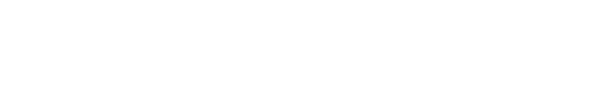 rixo logo