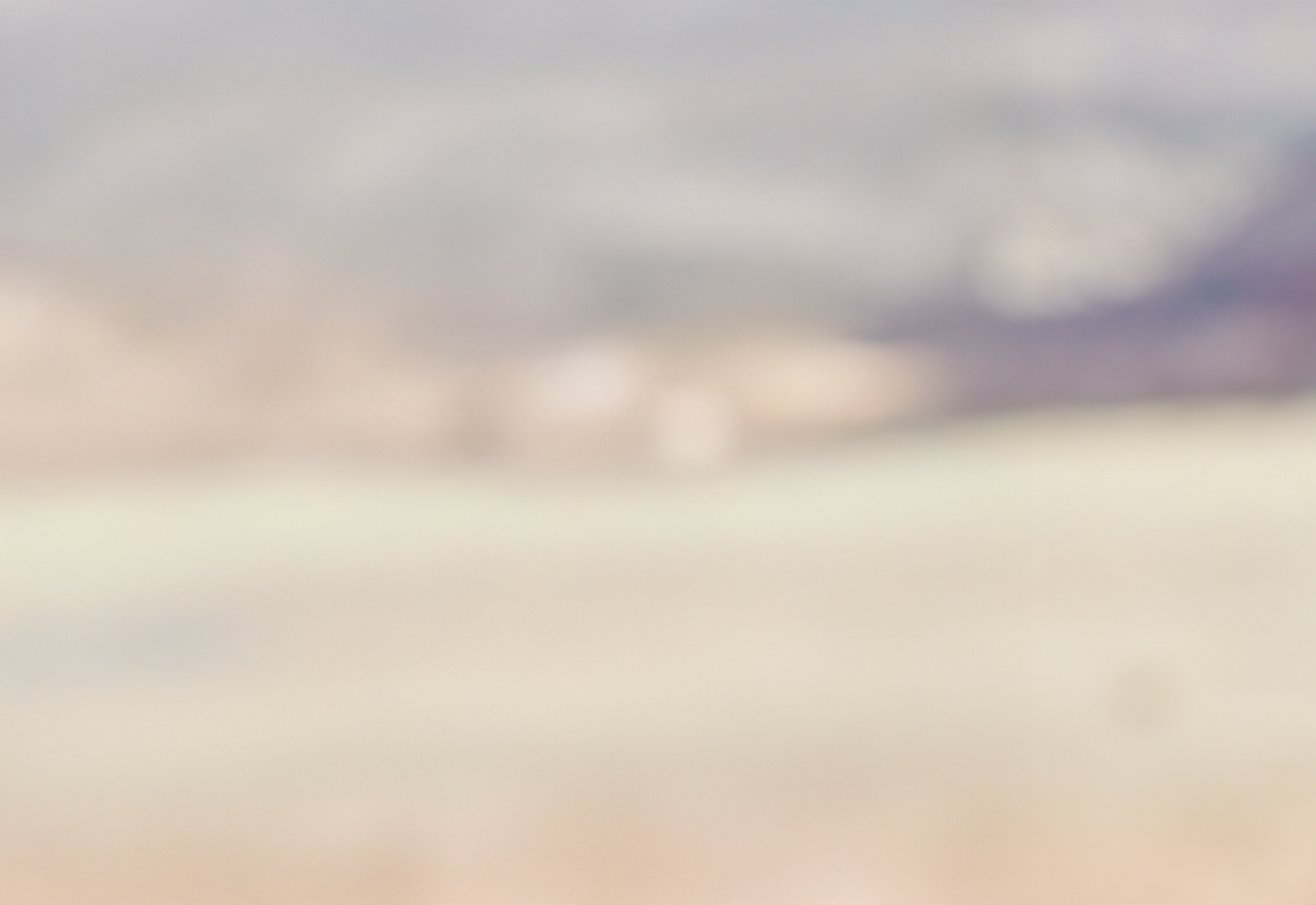 Woman wearing an olive color flat felt hat looks toward the left side of the screen.