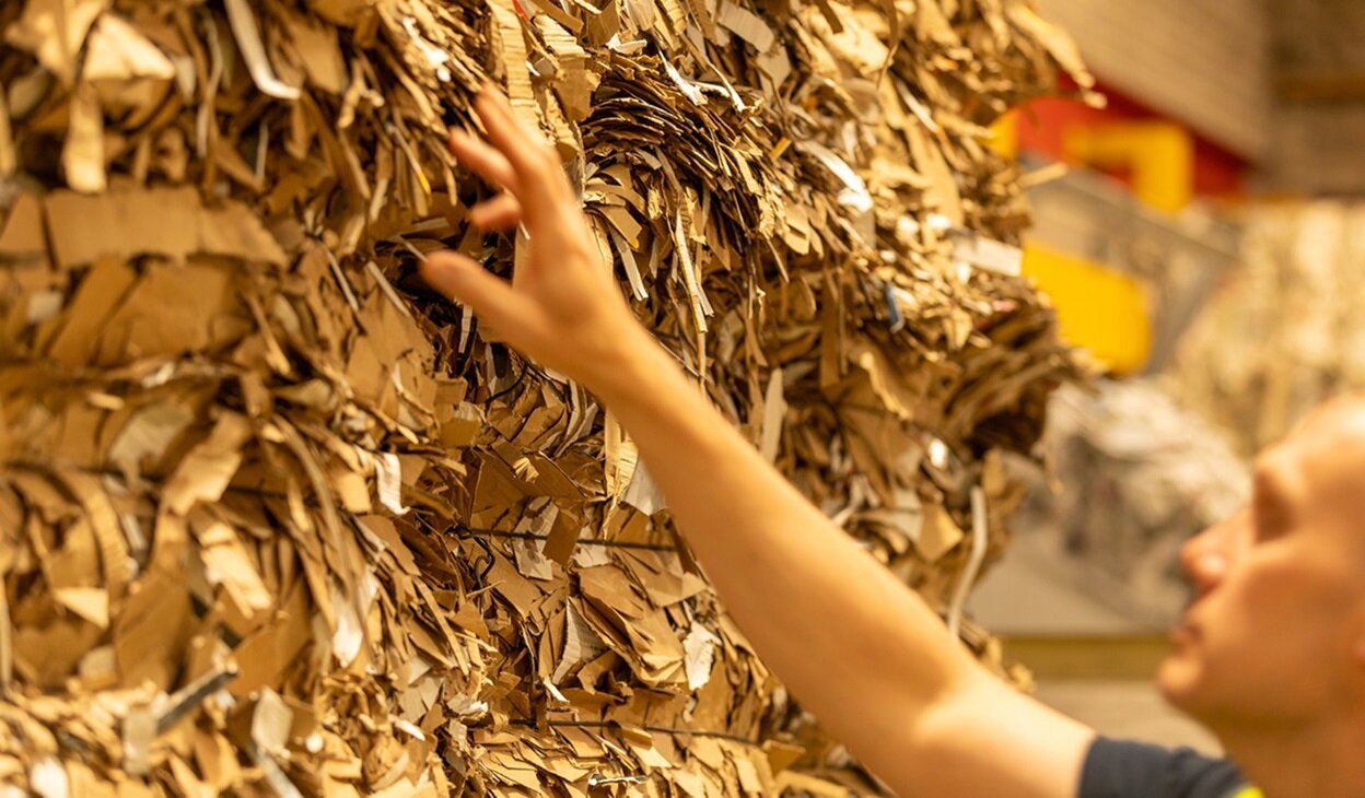 A factory worker touching the cardboard material used in medical pulp