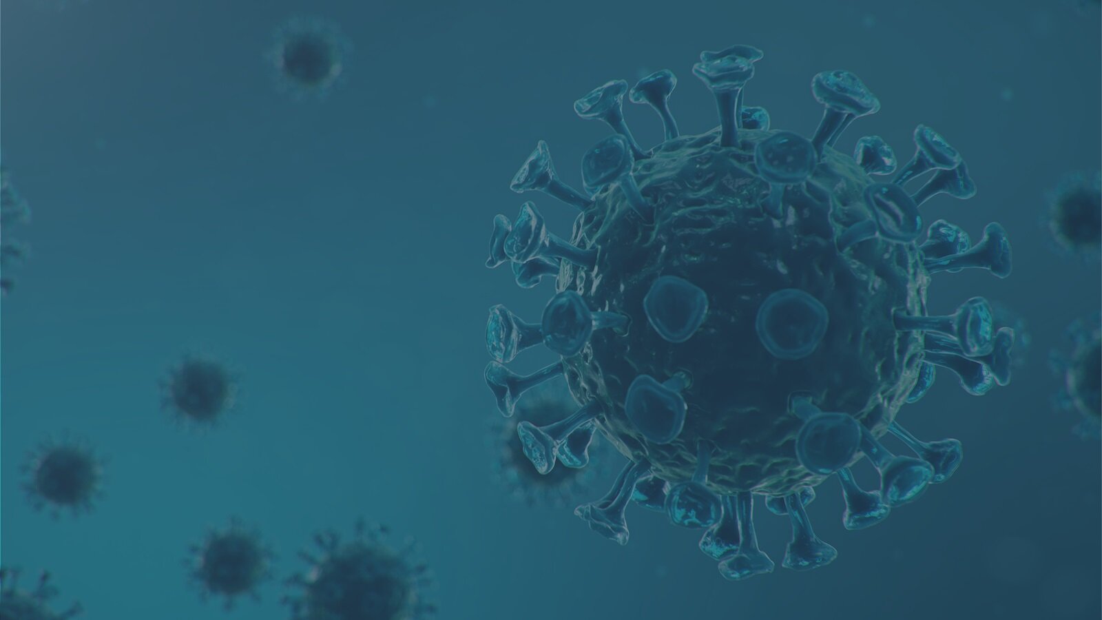An image of an mpox bacteria