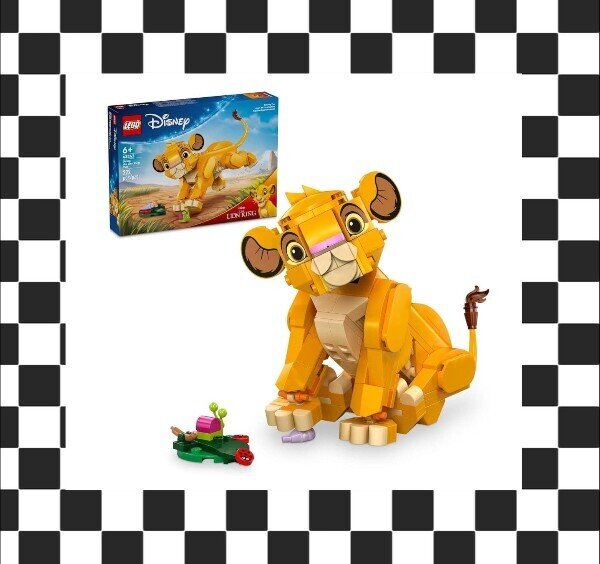 Build and create with LEGO sets for kids and collectors