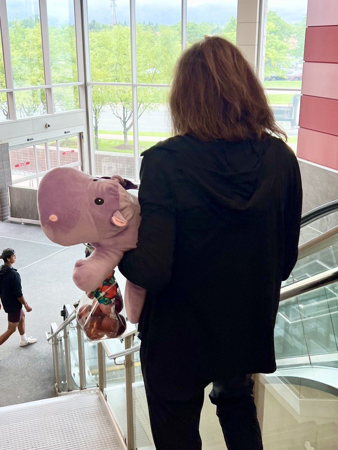 A child carrying their Snoozimal friend through a shopping center
