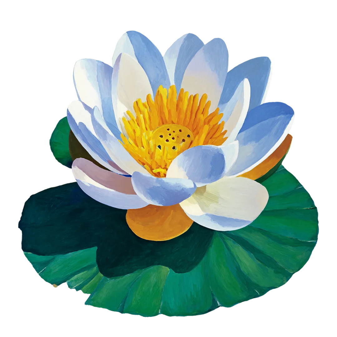 lotus flower