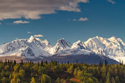 🐻 Wildlife spotting in Denali