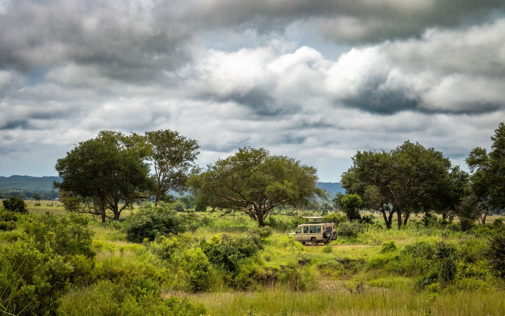 A 4x4 vehicle takes foreign tourists on safari across the savanna inside Mikumi National Park, Tanzania.