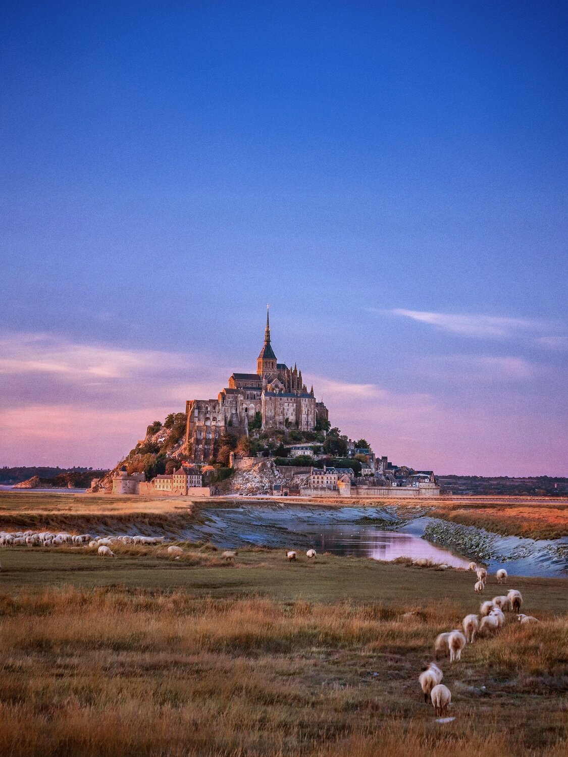 View of Castle in Libourne