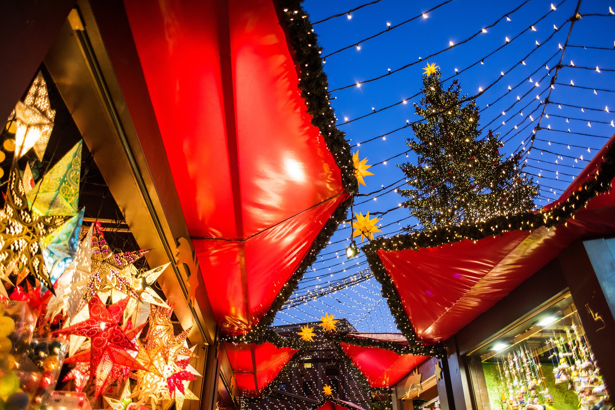 Traditional Christmas market in Cologne, Germany. Main town square with decorated tree and lights. Christmas fair in Europe concept