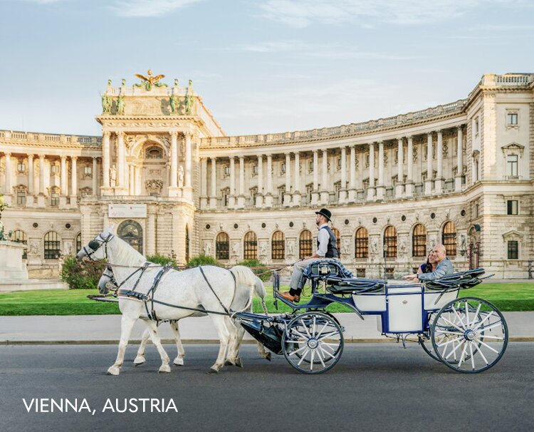 Carriage strolling through Vienna