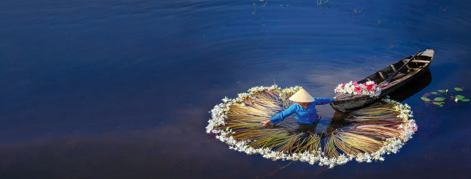 Water lilies along the Mekong River
