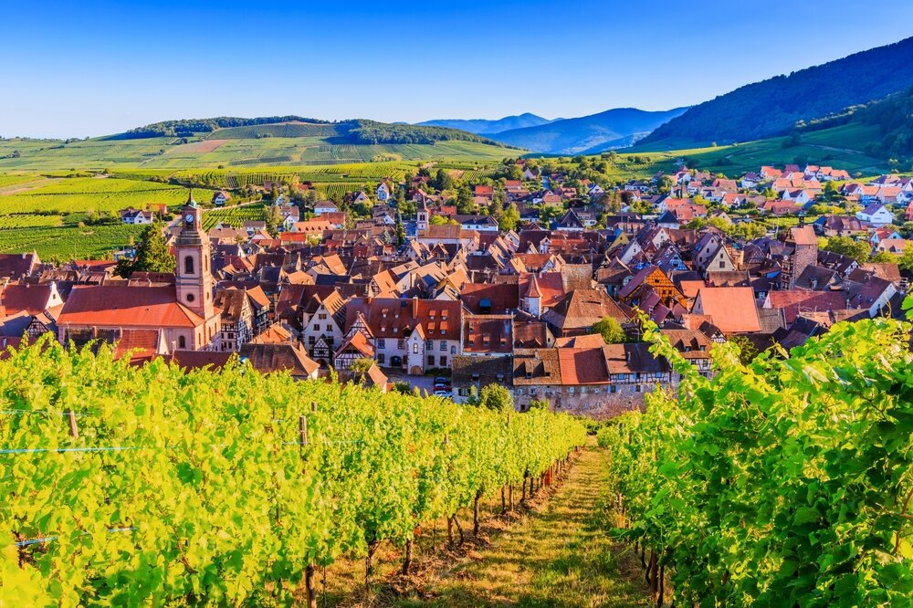 Landscape with vineyards near the historic village
