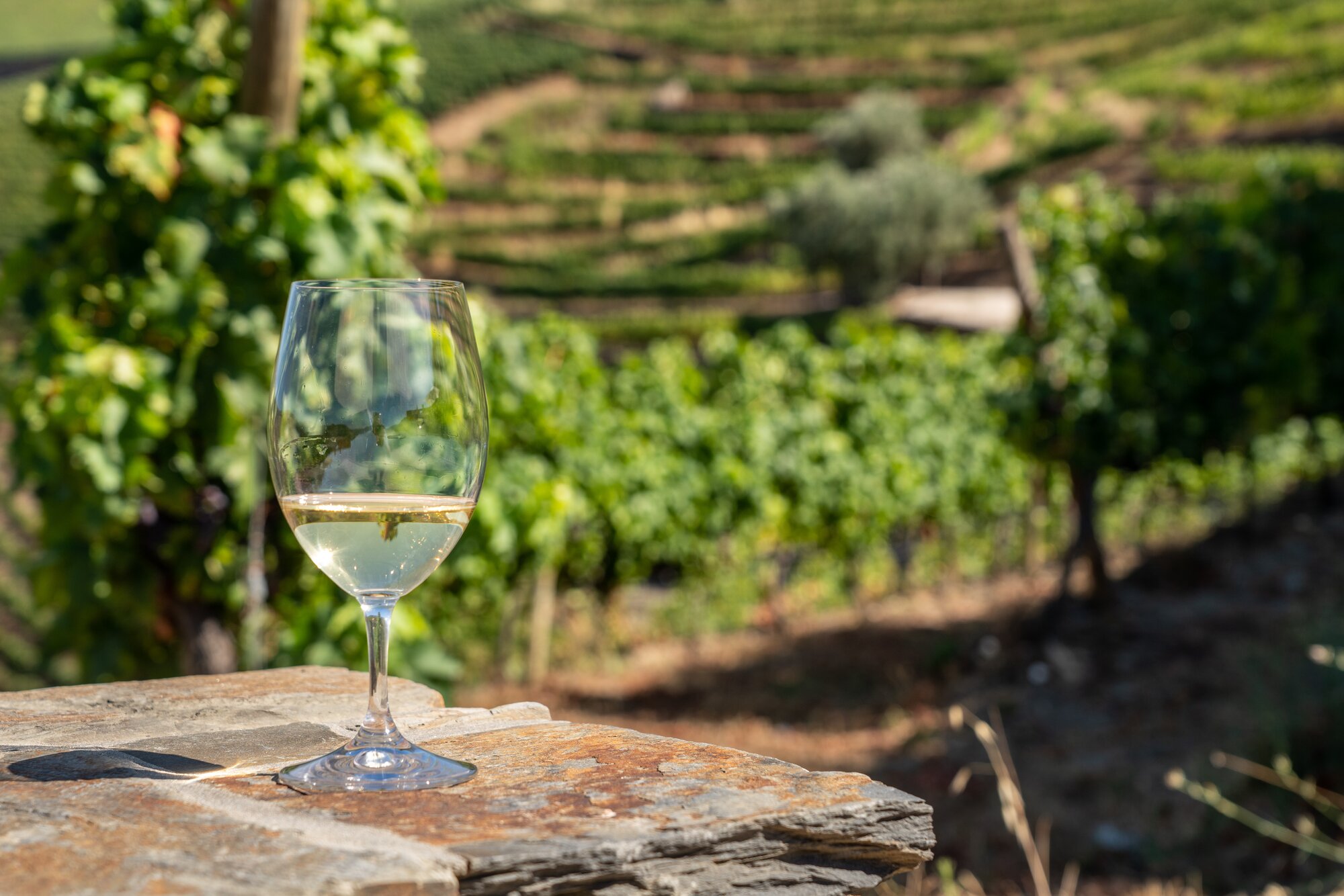 View of the Douro Valley in Pinhao